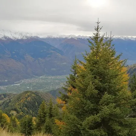 Albrici San Bernardo (Sondrio)