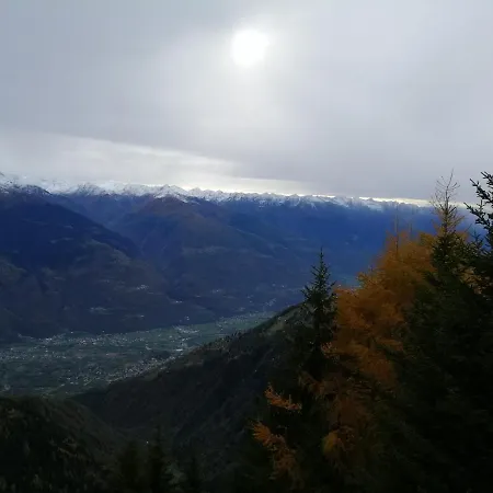 Albrici Hotel 3*
